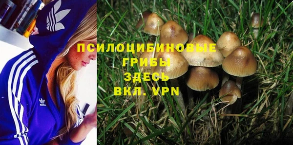 ECSTASY Заволжск