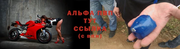 spice Заволжье