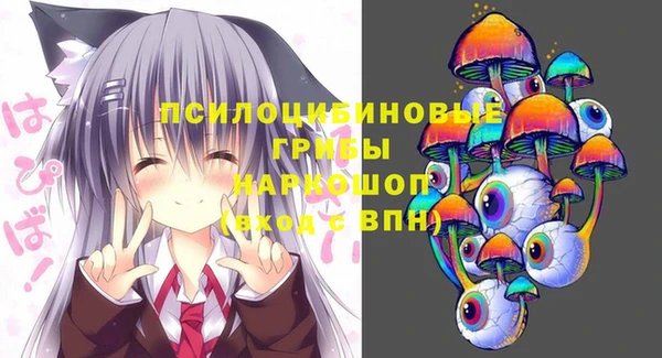 spice Заволжье