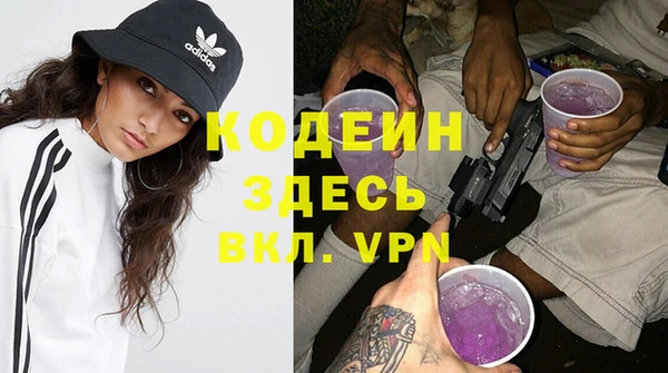 крисы Ельня
