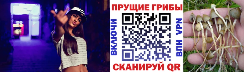 Галлюциногенные грибы Magic Shrooms  Судогда 
